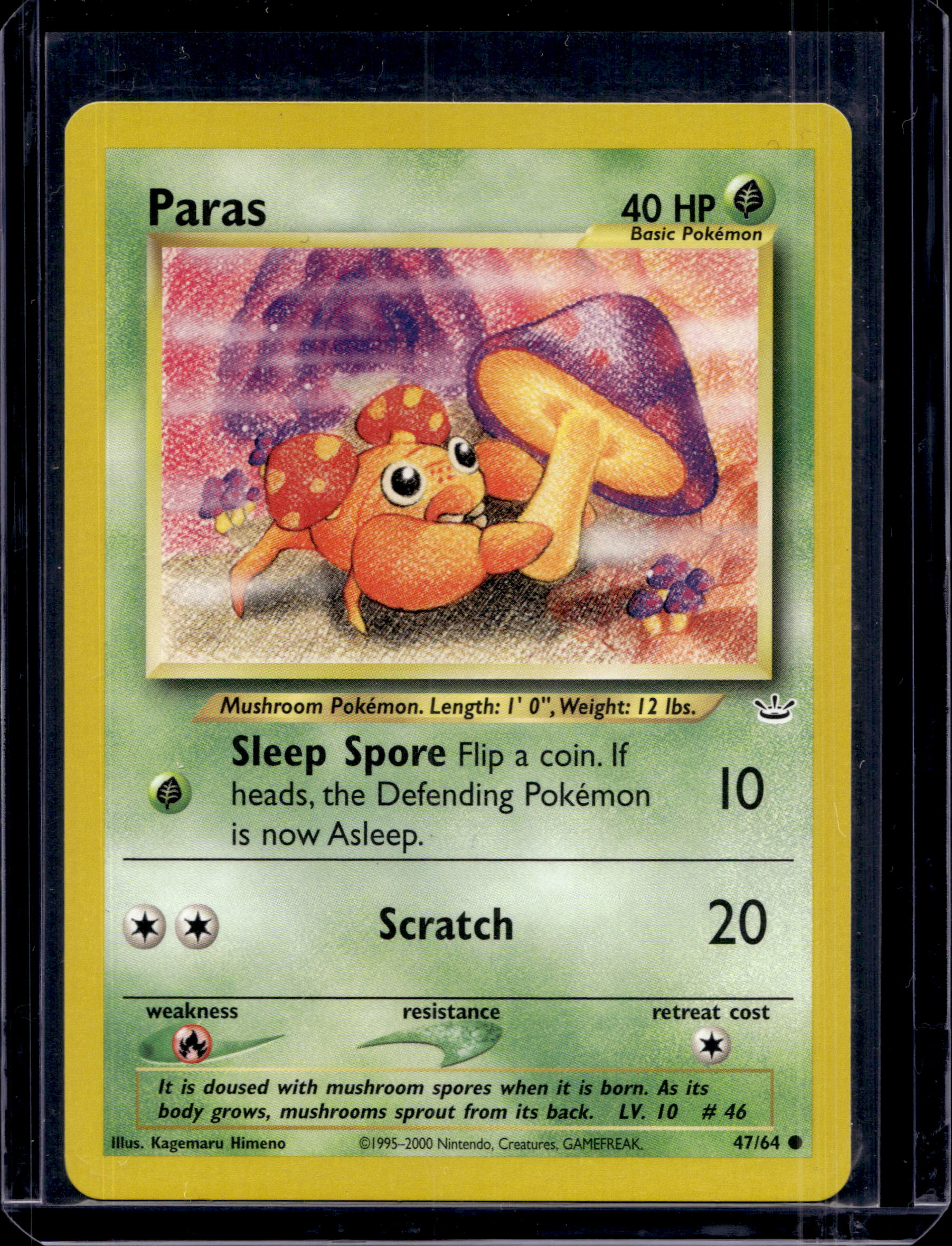 Paras 47/64 Raw