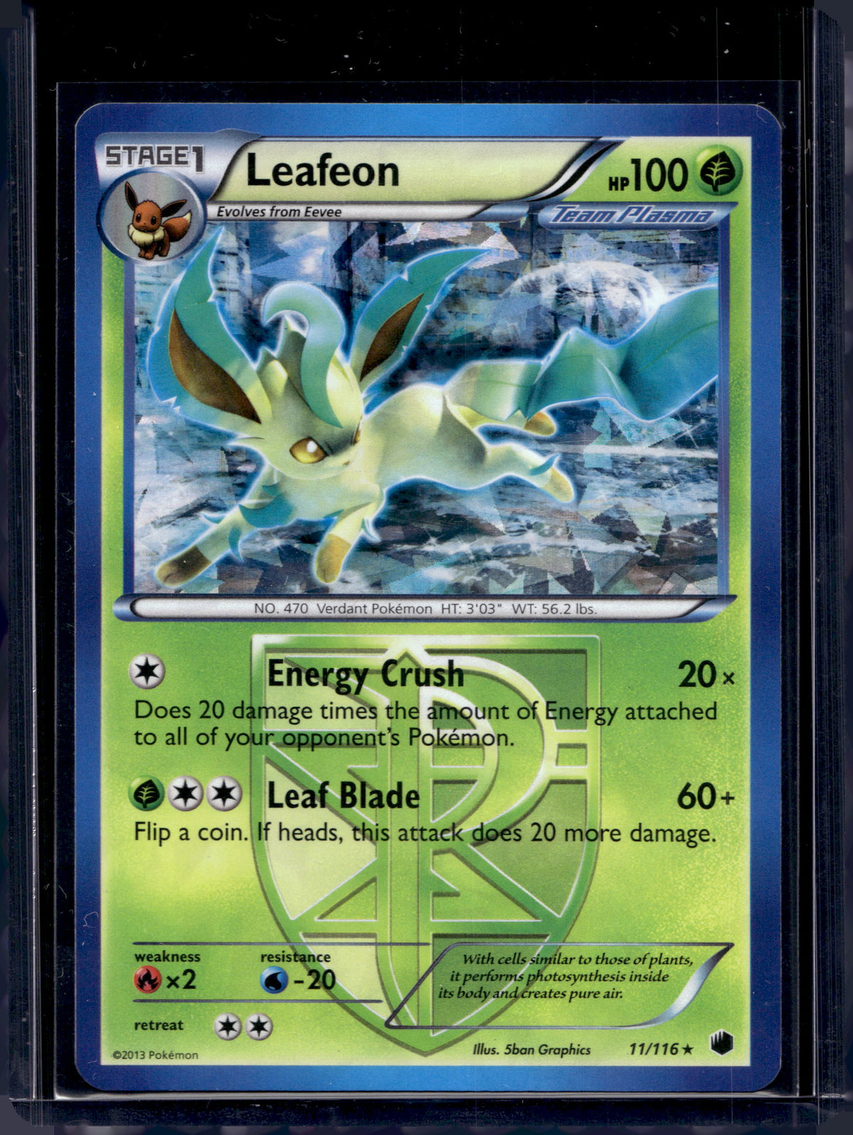 Leafeon (BW Plasma Freeze) - Holofoil - 011/116 Raw