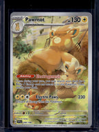 Pawmot 209/198 Raw
