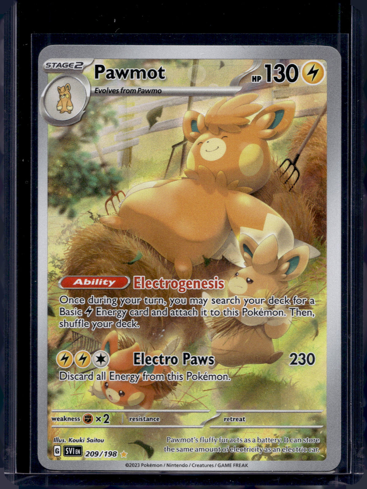 Pawmot 209/198 Raw
