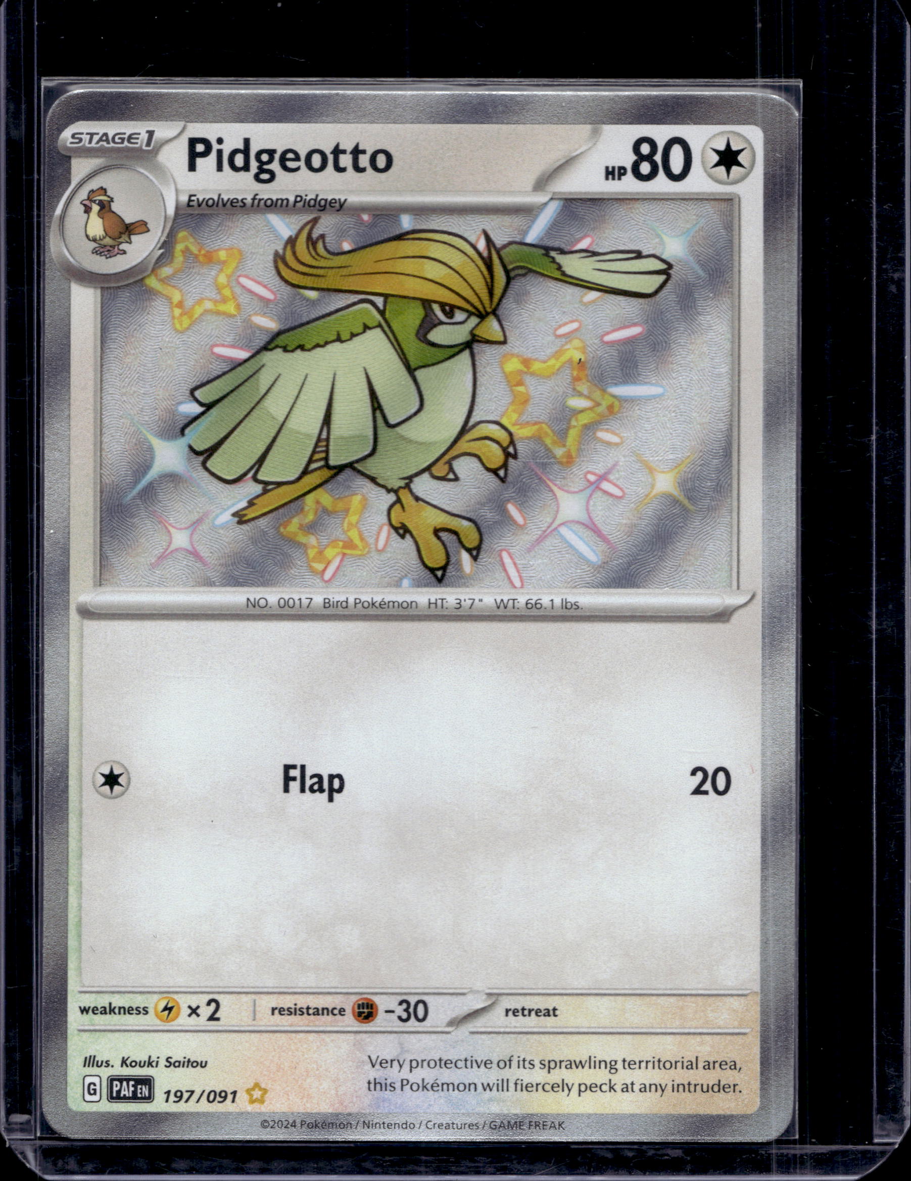 Pidgeotto 197/091 Raw