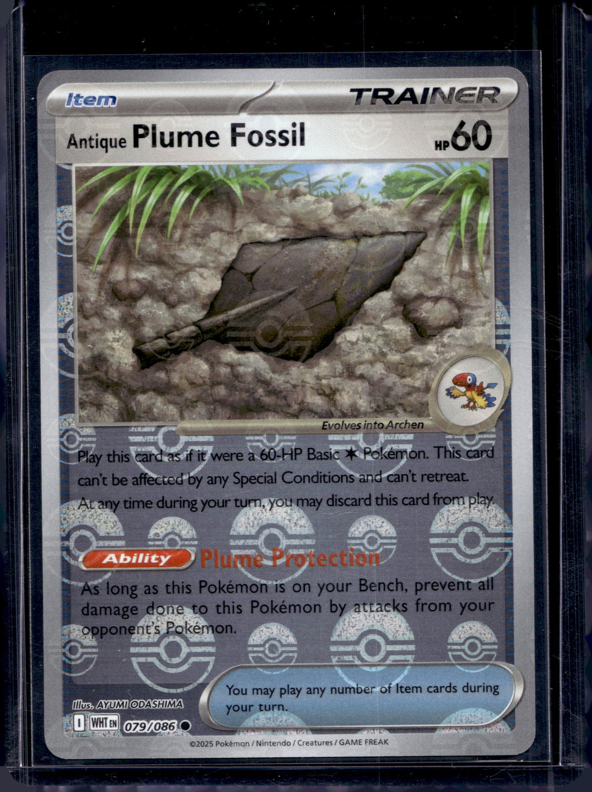 Antique Plume Fossil (Poke Ball Pattern) 079/086 Raw RookieLegends