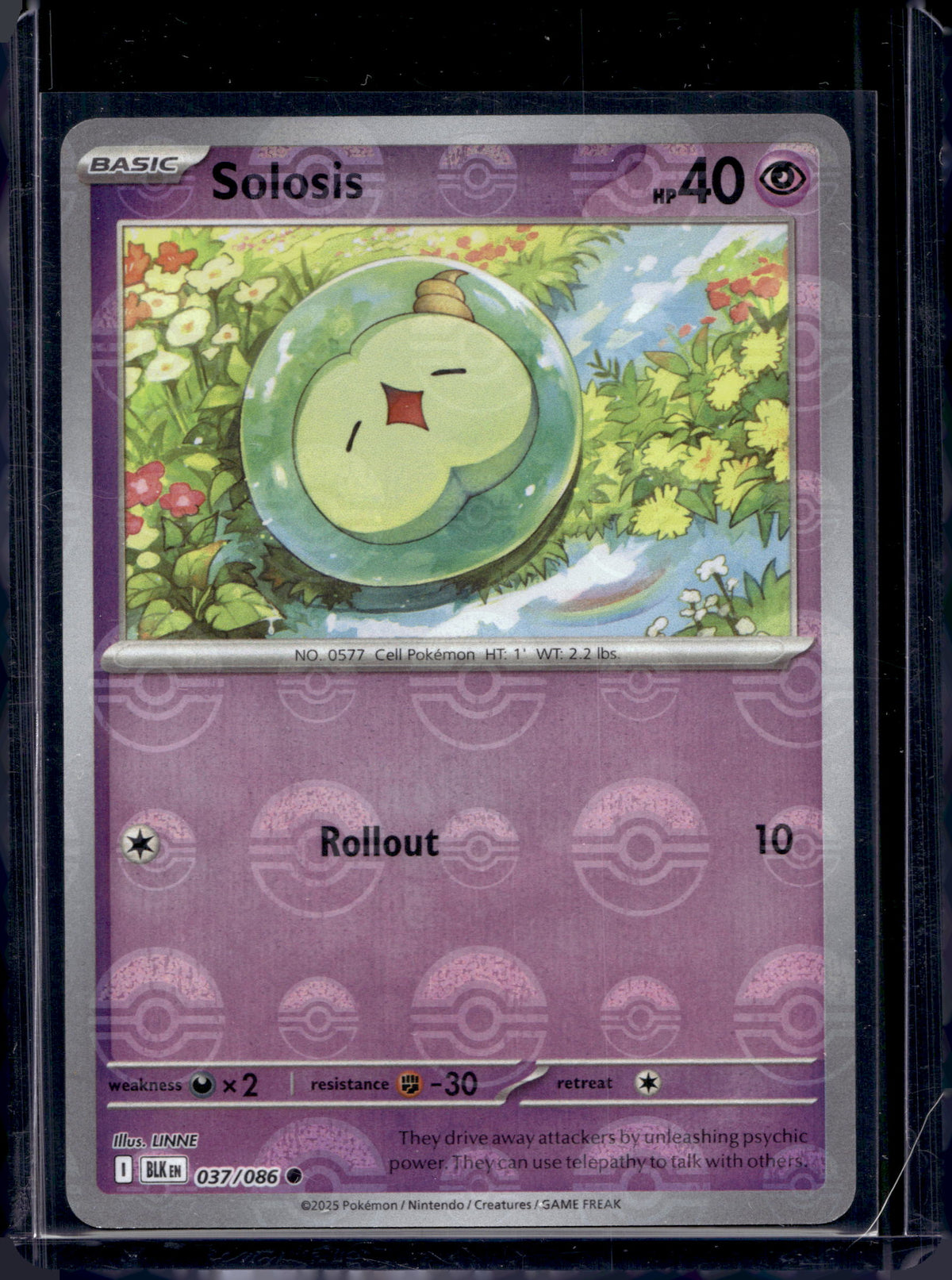 Audino (Poke Ball Pattern) 074/086 Raw RookieLegends