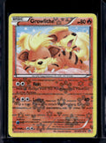 Growlithe - Holofoil - RC4/RC25 Raw