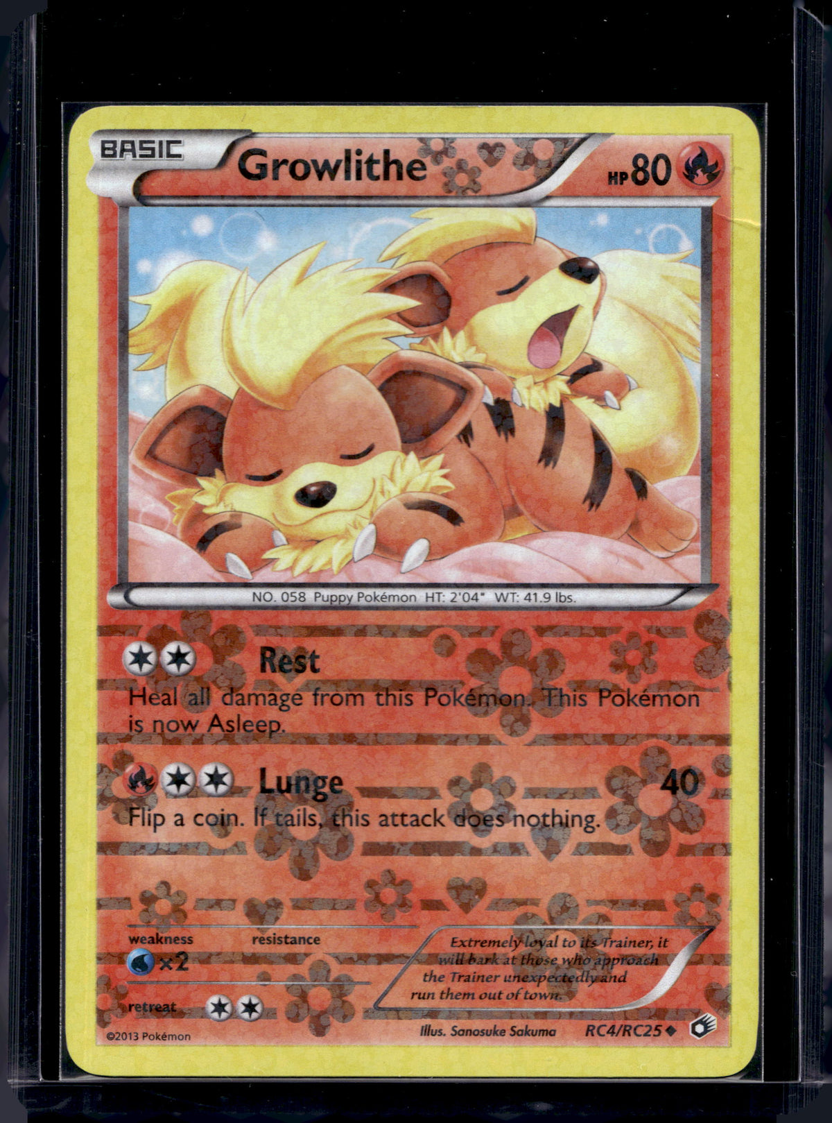Growlithe - Holofoil - RC4/RC25 Raw