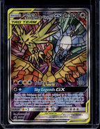 Moltres & Zapdos & Articuno GX SM210 Raw