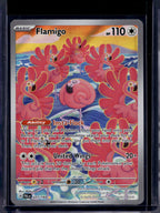 Flamigo 227/193 Raw