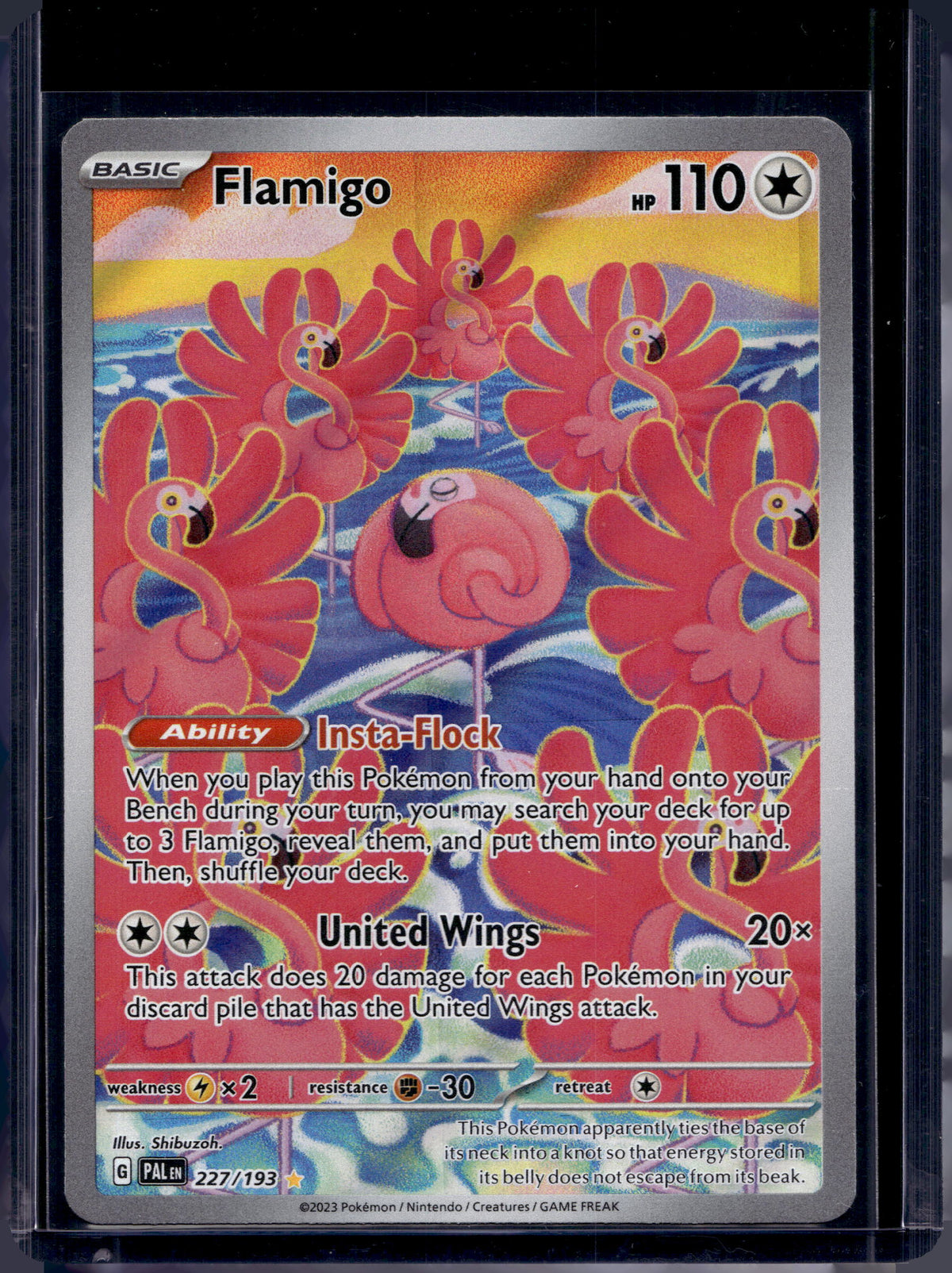 Flamigo 227/193 Raw
