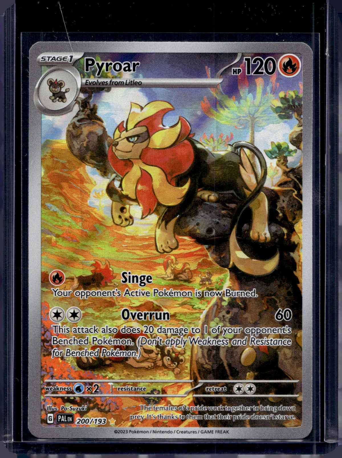 Pyroar 200/193 Raw