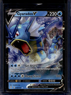 Gyarados V 028/203 Raw