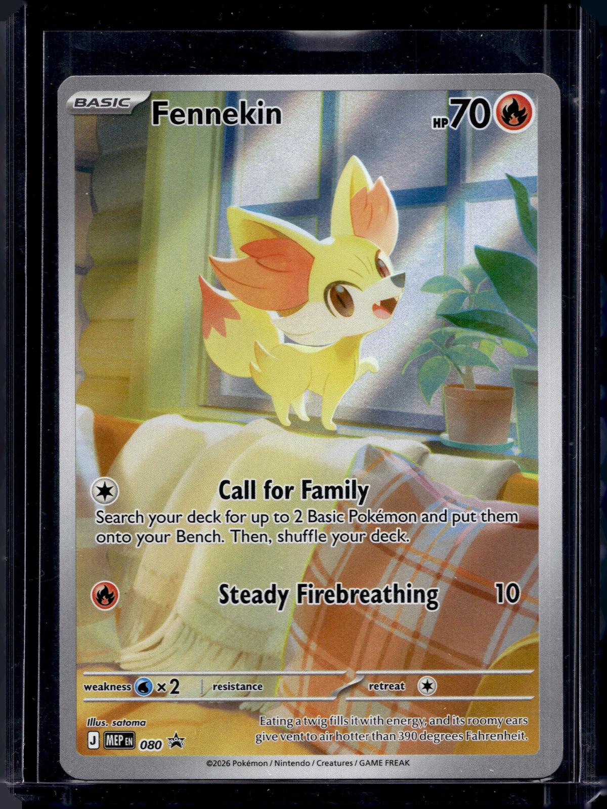 Fennekin 080 Raw