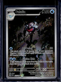 Palafin 225/091 Raw