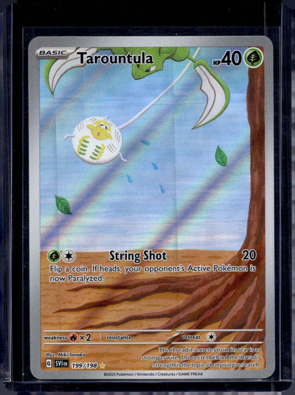 Tarountula 199/198 Raw