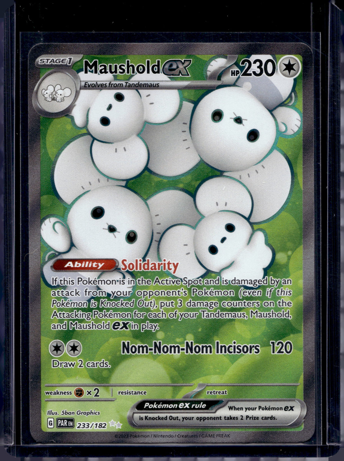 Maushold ex 233/182 Raw