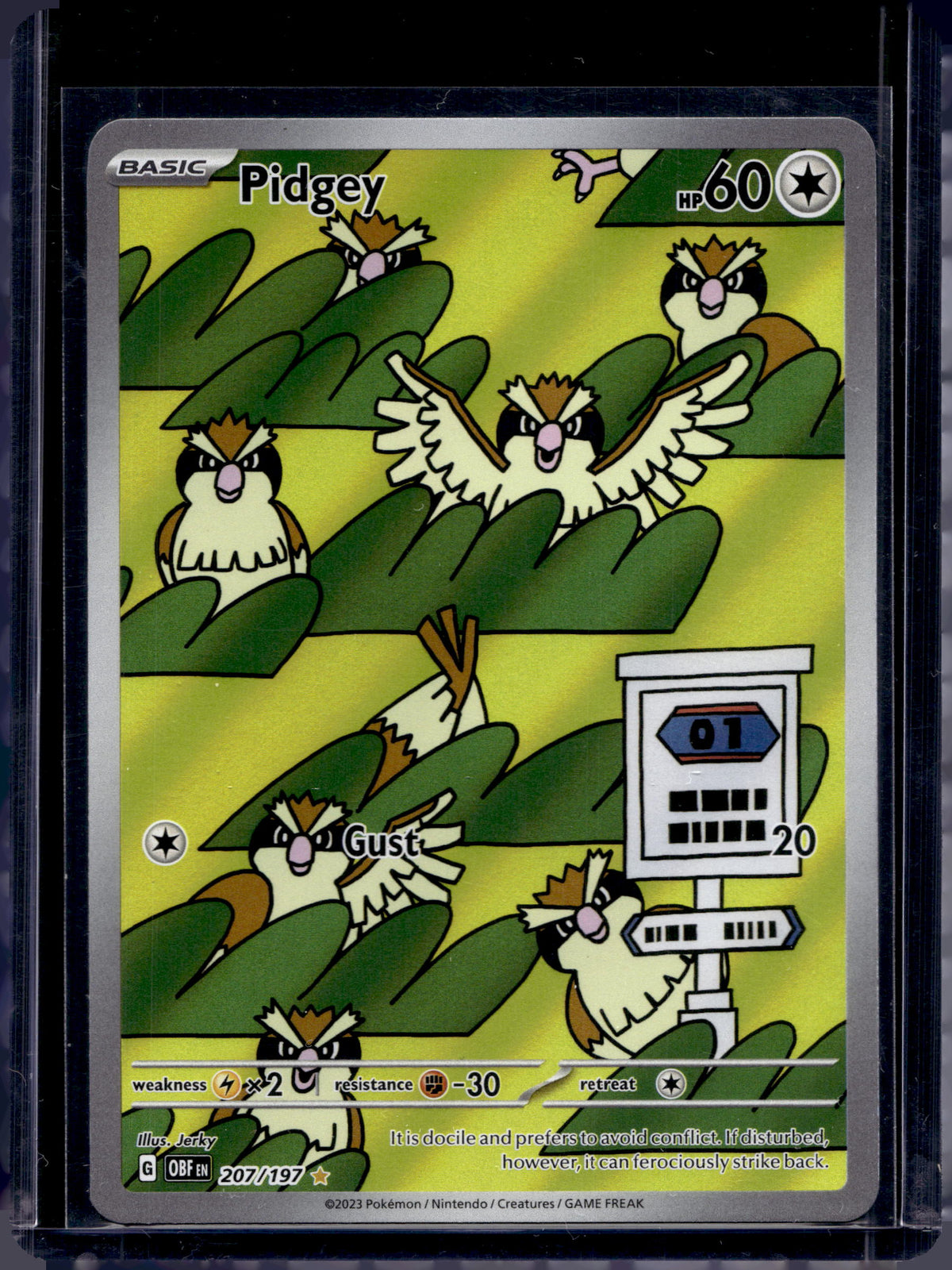 Pidgey 207/197 Raw