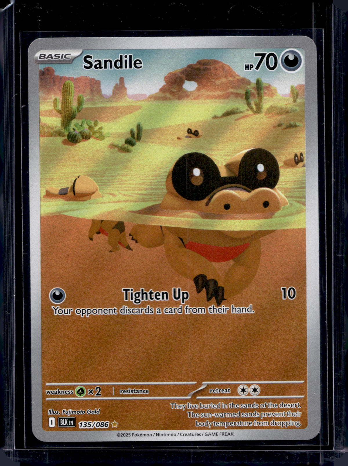 Sandile 135/086 Raw