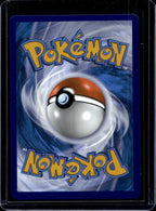 Team Rocket's Nidoking ex 216/182 Raw