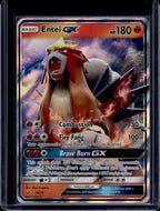 Entei Gx 10/73 Raw
