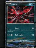 Yveltal English Promo Sealed 088/132 Raw - RookieLegends