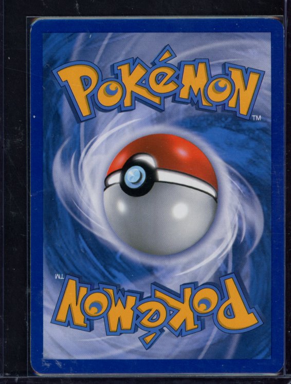 Houndoom 10/95 Raw