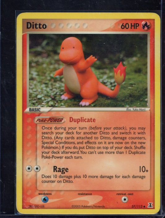 Ditto 37/113 Raw