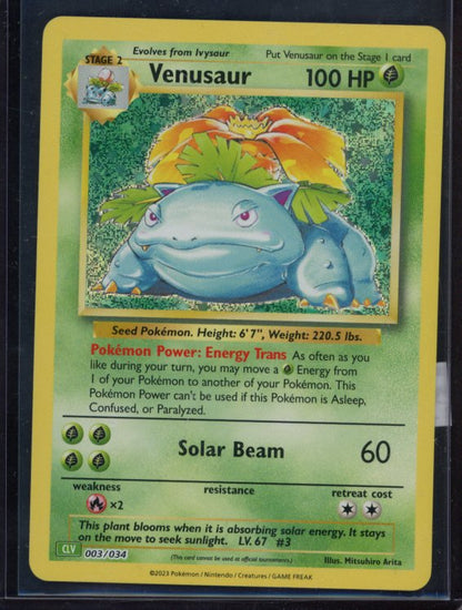 Venusaur 003/034 Raw