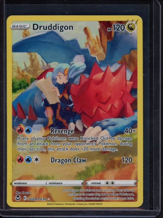 Druddigon TG09/TG30 Raw