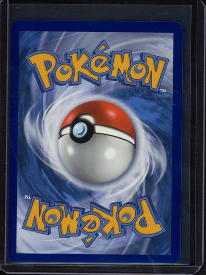 Zeraora V 165/198 Raw