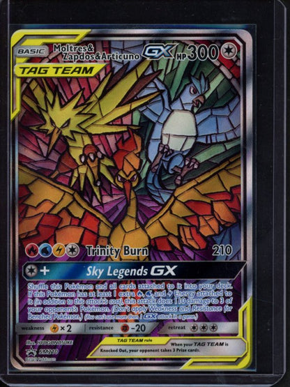 Moltres & Zapdos & Articuno SM210 Raw