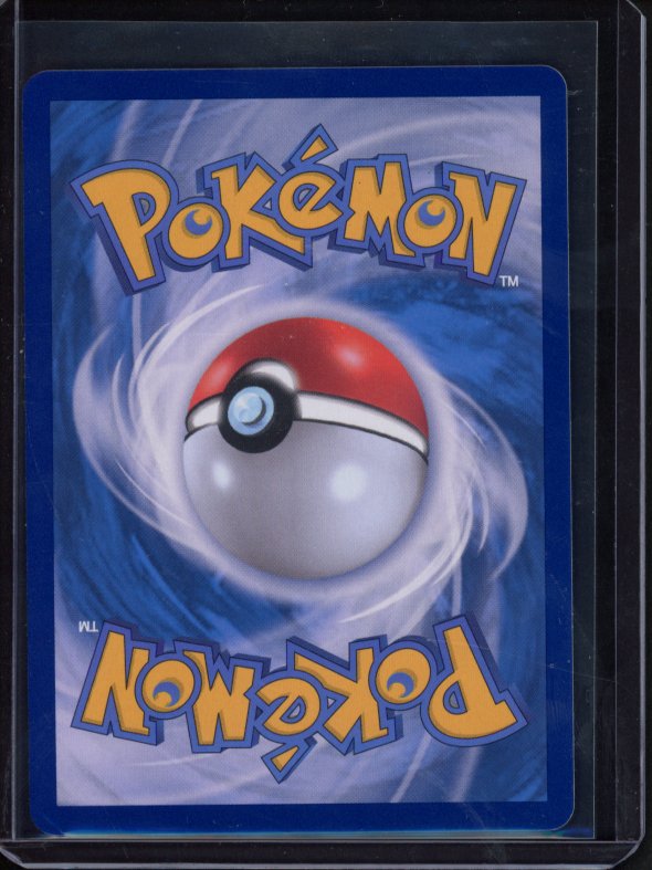 Mega Camerupt Ex 013/063 (JPN) Raw