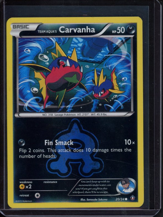 Team Aqua's Carvanha 20/34 Raw