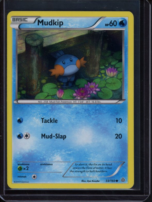 Mudkip 33/160 Raw