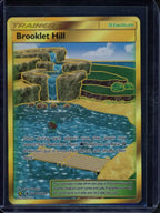 Brooklet Hill SV88/SV94 Raw - RookieLegends