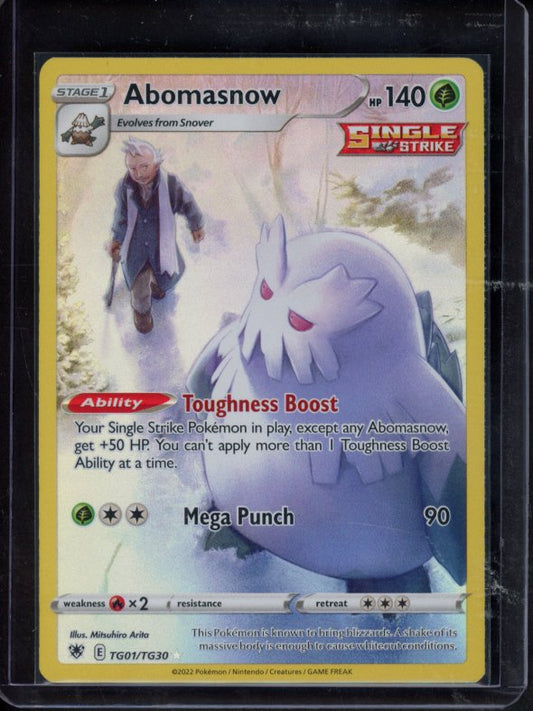 Abomasnow TG01/TG30 Raw