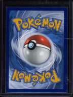 Blastoise 003/034 Raw