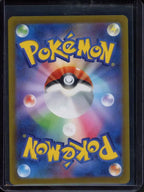Volo (JPN) 245/172 Raw - RookieLegends