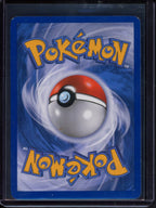 Arceus Lv.100 AR4 Raw - RookieLegends