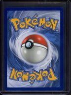 M Charizard Ex 13/108 Raw - RookieLegends
