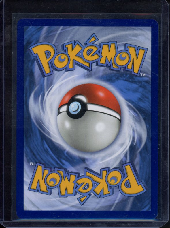 M Charizard Ex 13/108 Raw RookieLegends