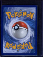 Poké Pad 113/088 Raw RookieLegends