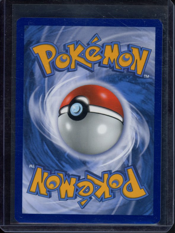 Charizard Vmax 020/189 Raw RookieLegends