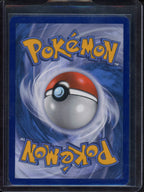 Pikachu RC29/RC32 Raw RookieLegends