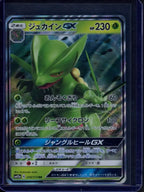 Sceptile Gx (JPN) 010/173 Raw RookieLegends