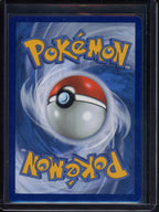 Charizard Vmax 020/189 Raw RookieLegends