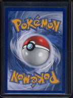 Charizard V SWSH260 Raw RookieLegends