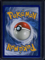 M Pidgeot Ex - Evolutions 105/108 Raw RookieLegends