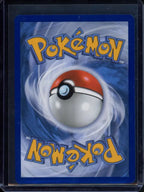 Lumiose City 111/088 Raw RookieLegends