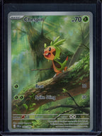 Chespin 087/086 Raw RookieLegends