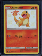 Charmander SV6/SV94 Raw RookieLegends