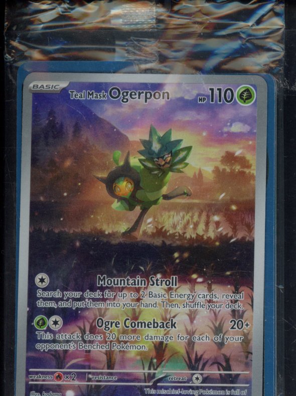 Teal Mask Ogerpon 123 - Sealed Promo RookieLegends